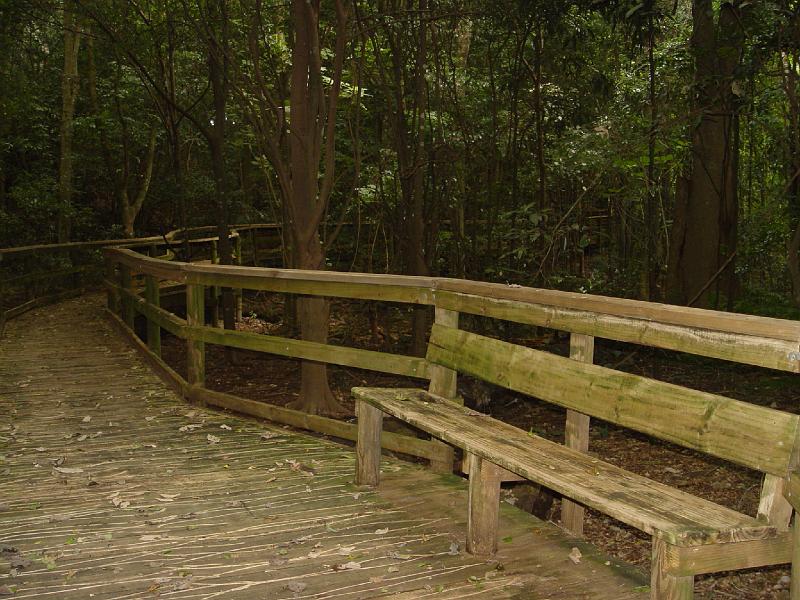 wingham-brush 008.jpg